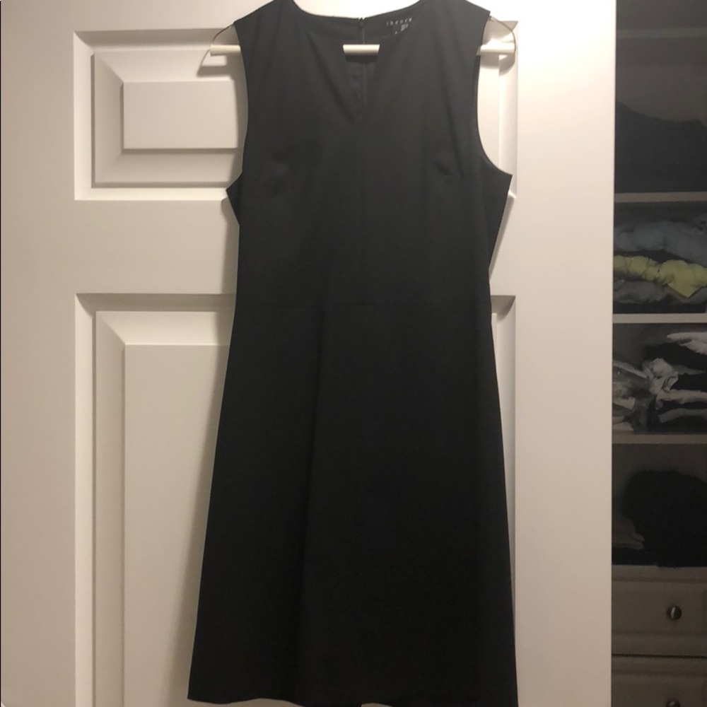 Theory dress